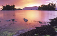 Lake